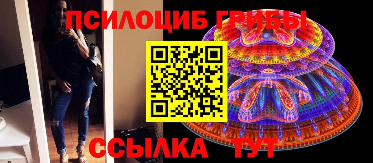 Псилоцибиновые грибы Psilocybine cubensis Чапаевск