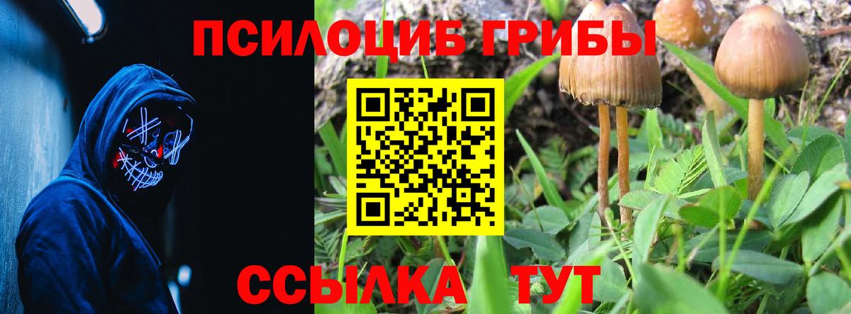 Чапаевск  Галлюциногенные грибы ЛСД  Вход с VPN  Галлюциногенные грибы Psilocybine cubensis 